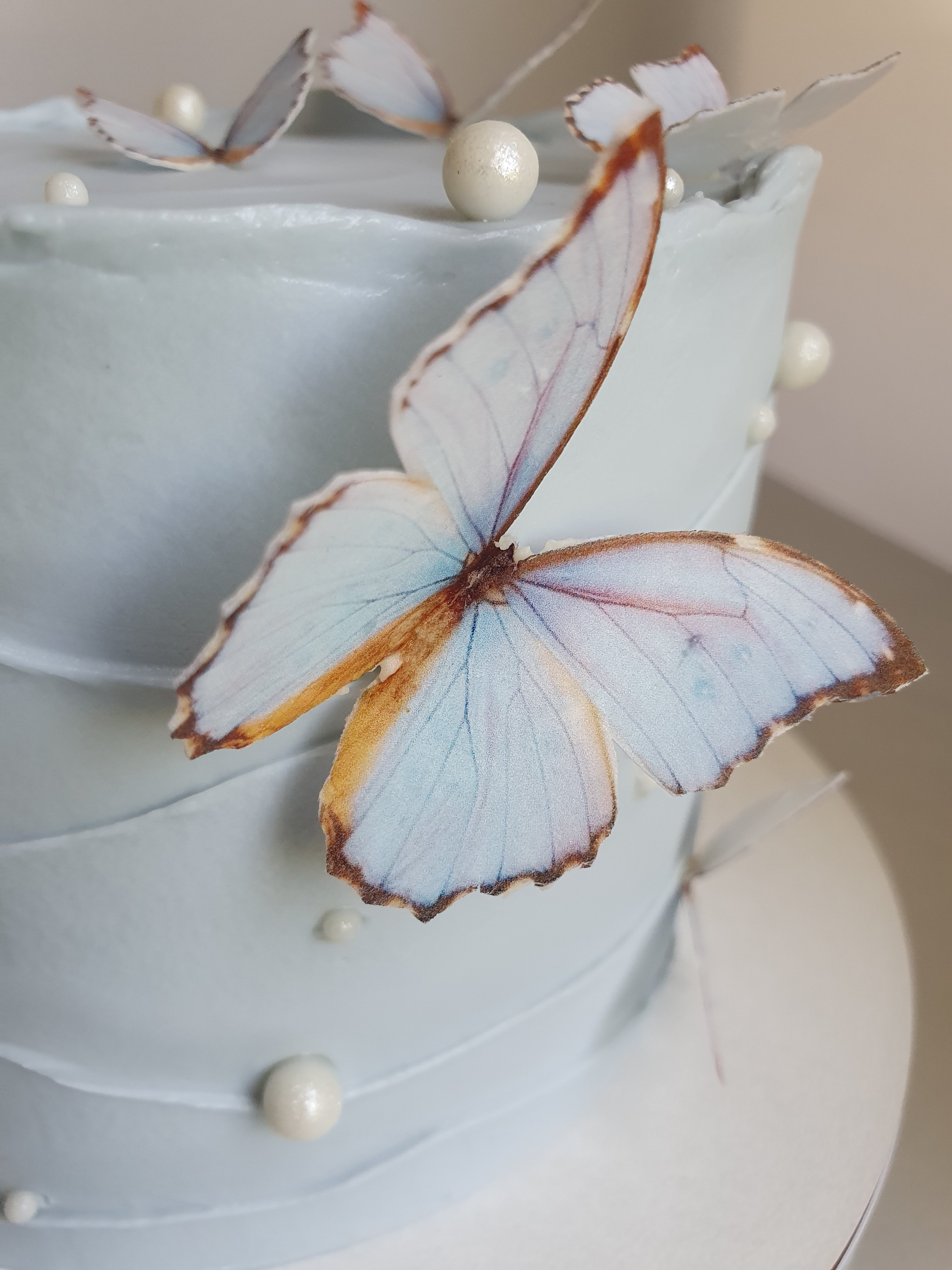 Торт с бабочками - фото4